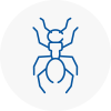 Ant Removals In Walton