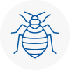 Bed Bug Extermination In Walton