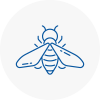 Bee Nest Removal Walton