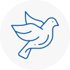 Bird Prevention Walton