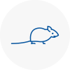Mice Exterminators In Walton