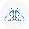 Moth Control Specialists In Walton