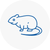 Rat Control Walton