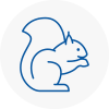 Walton Rodent Removals